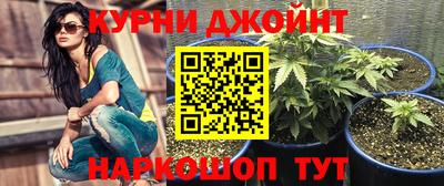 гашик Ливны