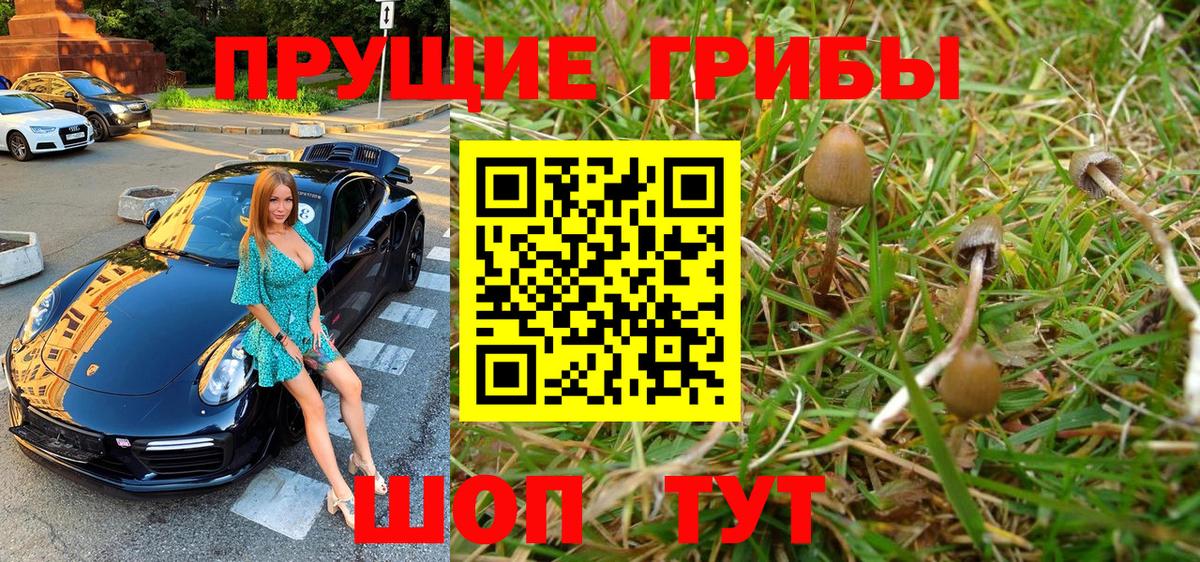 Галлюциногенные грибы GOLDEN TEACHER Ессентуки